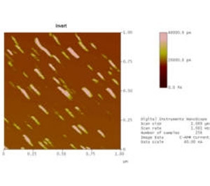 Amit Kumar et al, J. Nano . Sci and Technol, 7, 1, 2007
