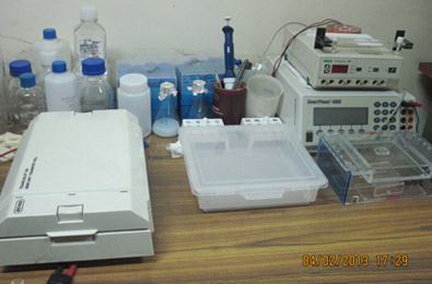 Gel Electrophoresis [Stratagene, Tarson], AFIGE [BIORAD], Semi Dry Blotter [BIORAD], PCR [Perkin Elmer]