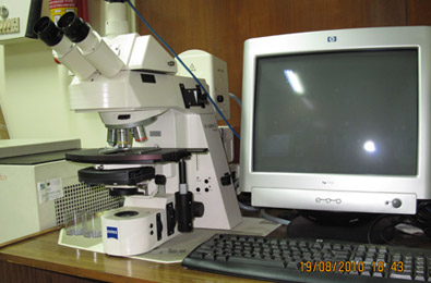 Fluorescence Microscope [Zeiss]
