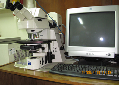 Fluorescence Microscope [Zeiss]