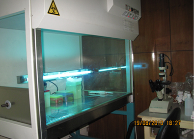 Bio safety Cabinet (Class II) [Heraeus]